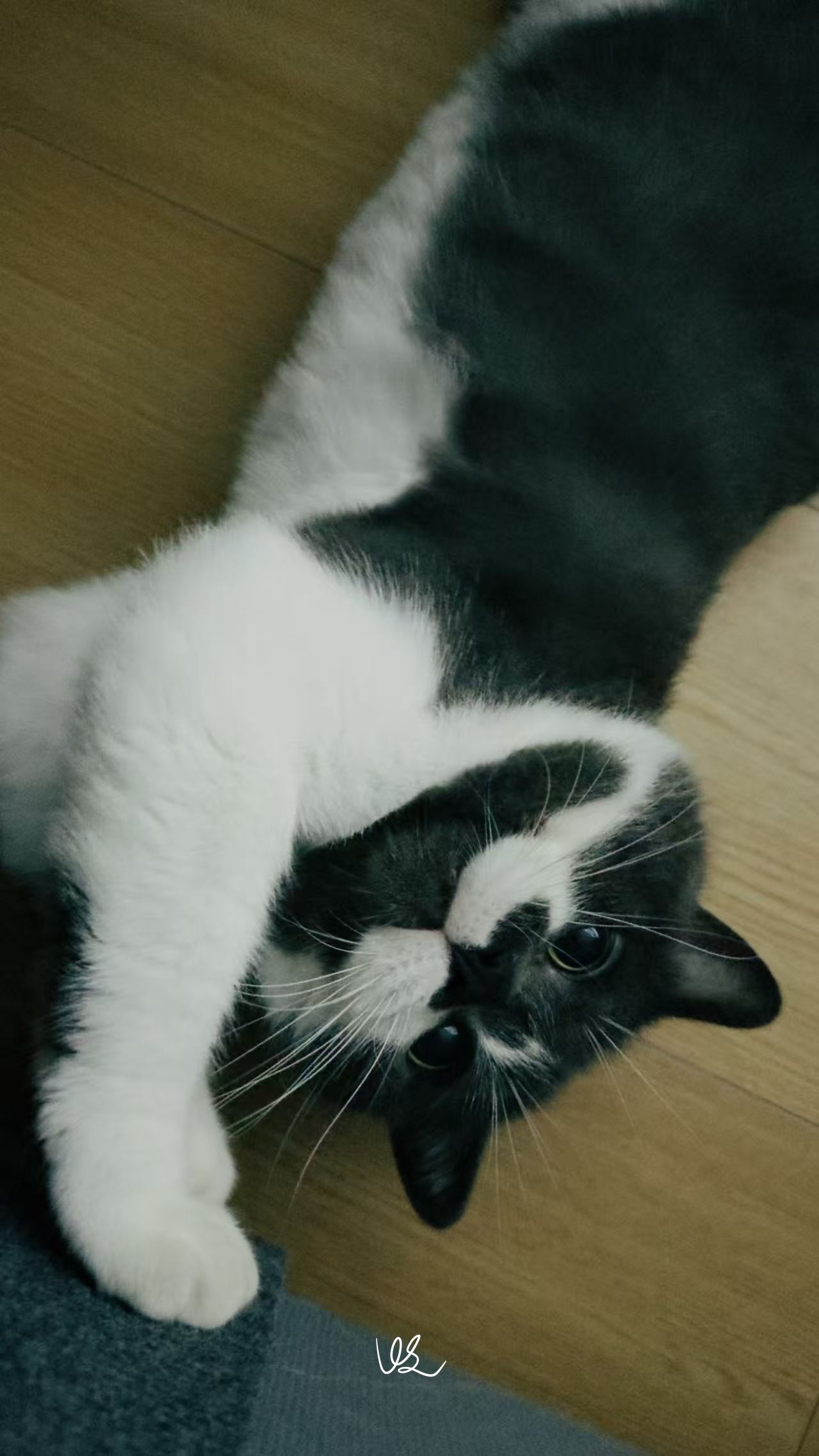 伸懒腰