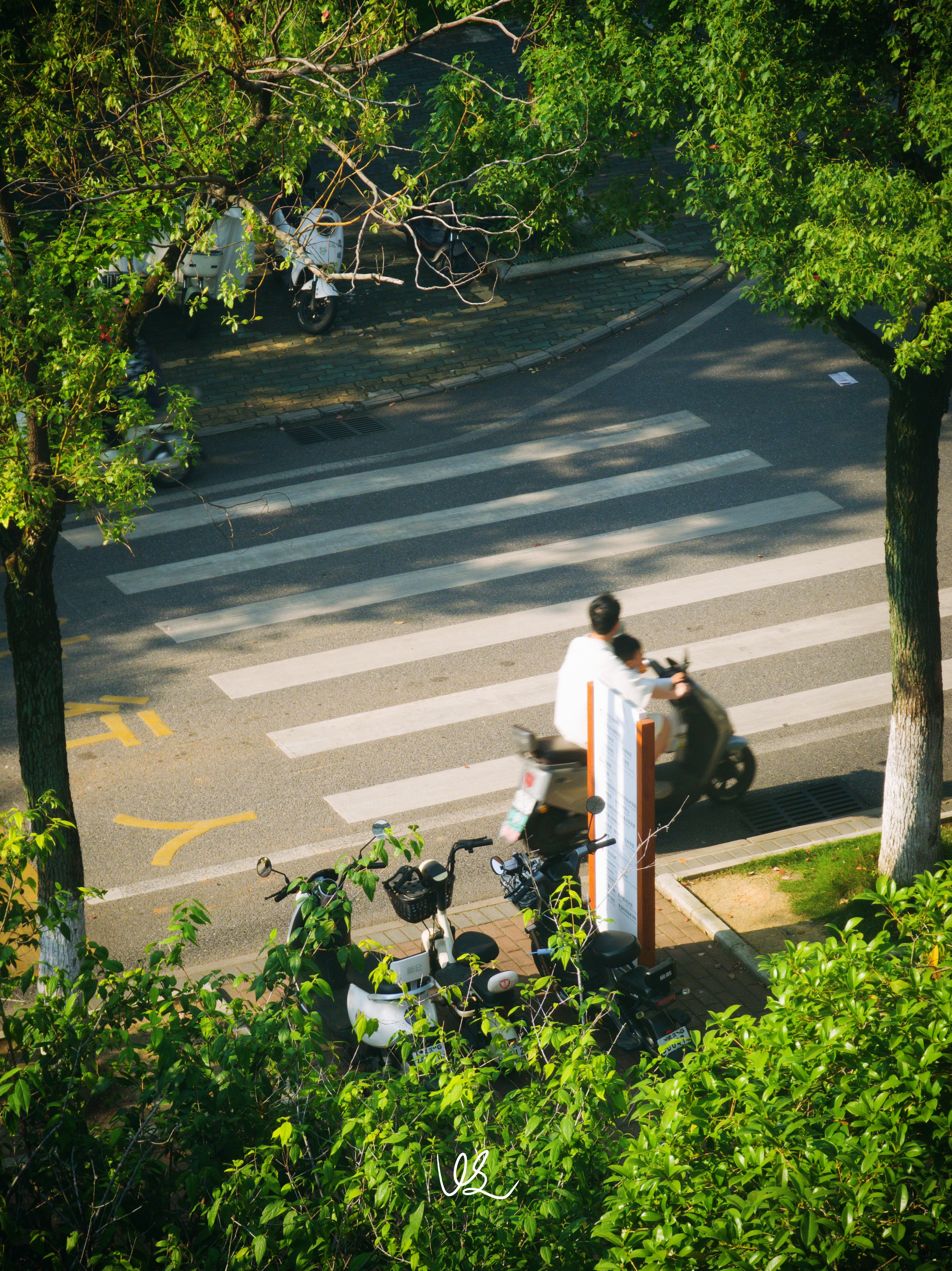 学校